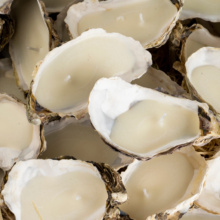 Sojų vaško žvakė austrės kriauklėje Sojų vaško žvakė austrės kriauklėje