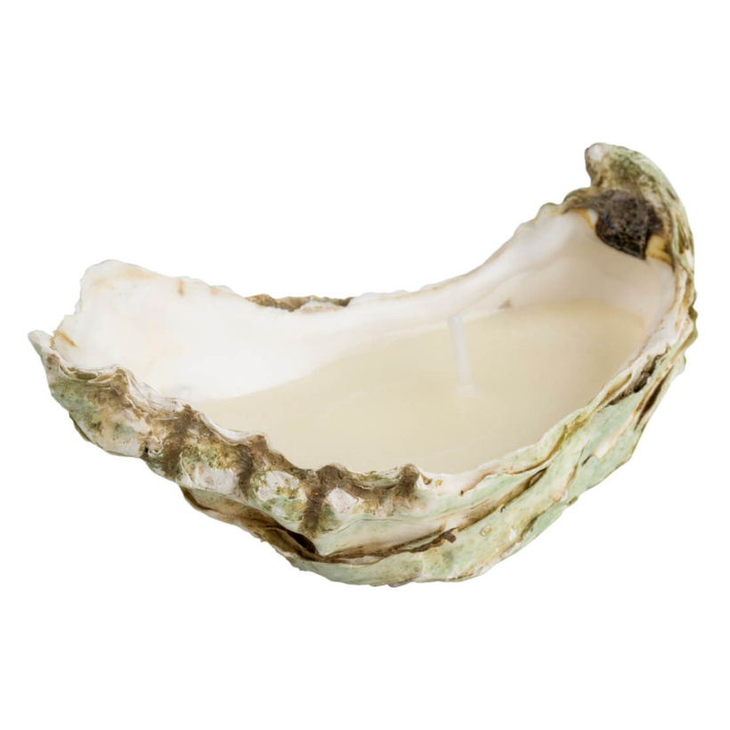 Sojų vaško žvakė austrės kriauklėje Sojų vaško žvakė austrės kriauklėje