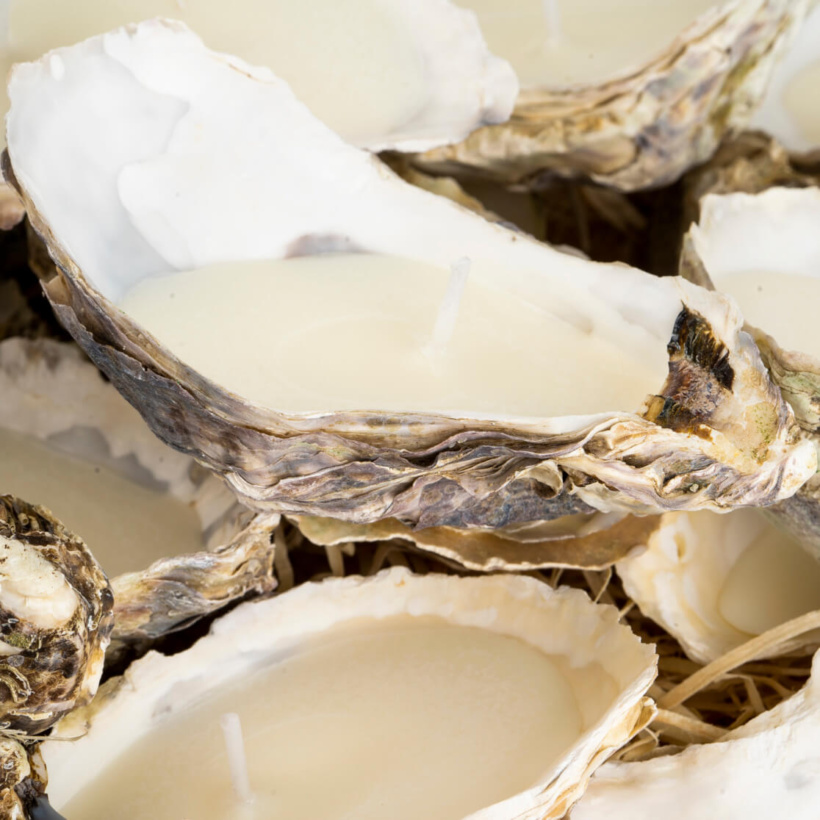 Sojų vaško žvakė austrės kriauklėje Sojų vaško žvakė austrės kriauklėje